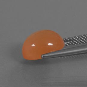 Pierre de Lune Orange clair naturelle Coupe ovale, 4.51 ct, Translucide