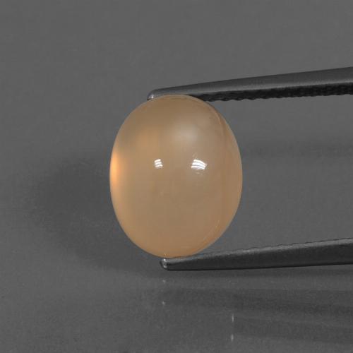 Pierre de lune orange naturelle coupe ovale, 4,67 ct, translucide
