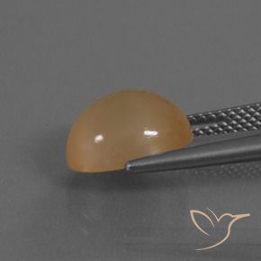 Pierre de lune Orange cantaloup naturelle ovale, 4.12 ct, Translucide