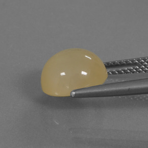 Pierre de Lune Doré naturelle Coupe roude, 3.37 ct, Translucide