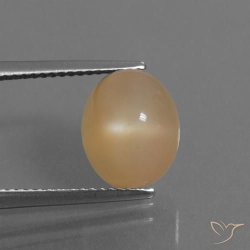 5.32ct Naturel Orange-or Pierre de lune, ovale, Translucide