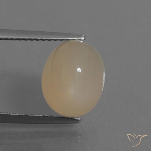 6.35ct Naturel Marron clair chaud Pierre de lune, ovale, Translucide