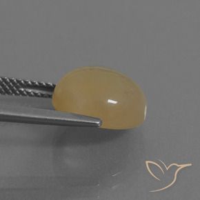 Pierre de lune Brun café léger naturelle Tour, 5.13 ct, Translucide