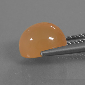 Pierre de Lune Orange cantaloup naturelle Coupe ovale, 4.11 ct, Translucide