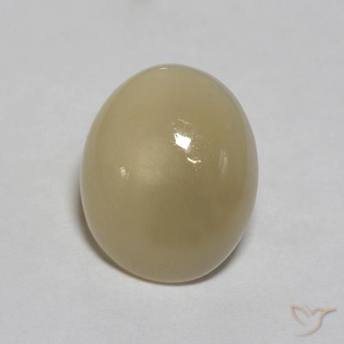 3.03ct Naturel Brun café léger Pierre de lune, ovale, Translucide