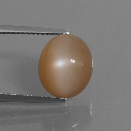 Pierre de Lune Brun arachide naturelle Coupe ovale, 6.30 ct, Translucide