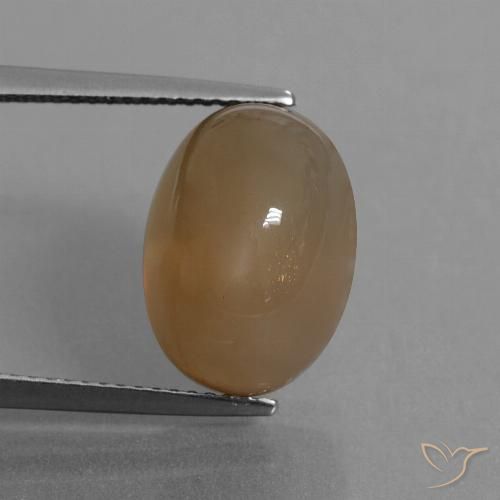 9.55ct Naturel Brun caramel léger Pierre de lune, ovale, Translucide