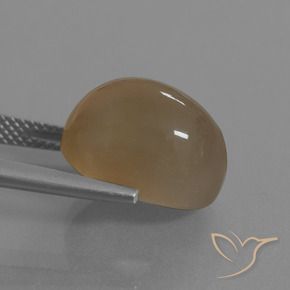 Pierre de lune Brun caramel léger naturelle ovale, 9.55 ct, Translucide