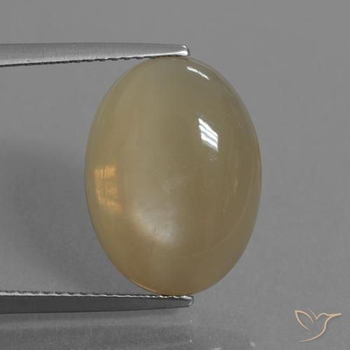 7.18ct Naturel Orange moyen-foncé Pierre de lune, ovale, Translucide