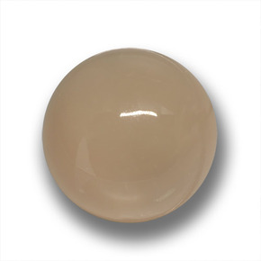 Pierre de lune marron naturelle coupe roude, 24,50 ct, translucide