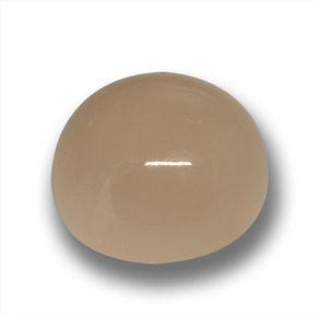Pierre de lune marron naturelle coupe roude, 24,50 ct, translucide