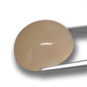 Pierre de lune marron naturelle coupe roude, 24,50 ct, translucide