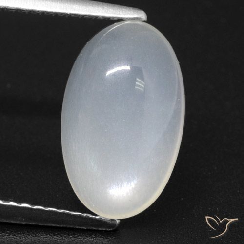 Pierre de Lune Blanc translucide naturelle Coupe ovale, 3.24 ct, Translucide