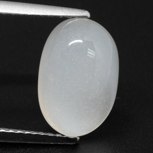 Pierre de Lune Blanc translucide naturelle Coupe ovale, 3.33 ct, Translucide
