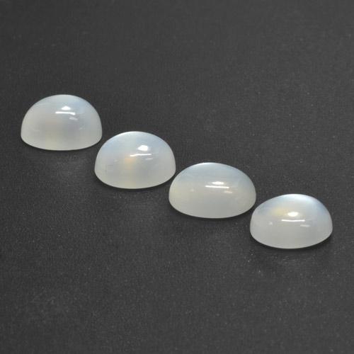 Achetez naturel 5,90ct blanc pierre de lune gems, coupe ovale, en provenance inde chez gemselect. en stock, livraison internationale!