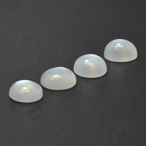 Achetez naturel 5,90ct blanc pierre de lune gems, coupe ovale, en provenance inde chez gemselect. en stock, livraison internationale!