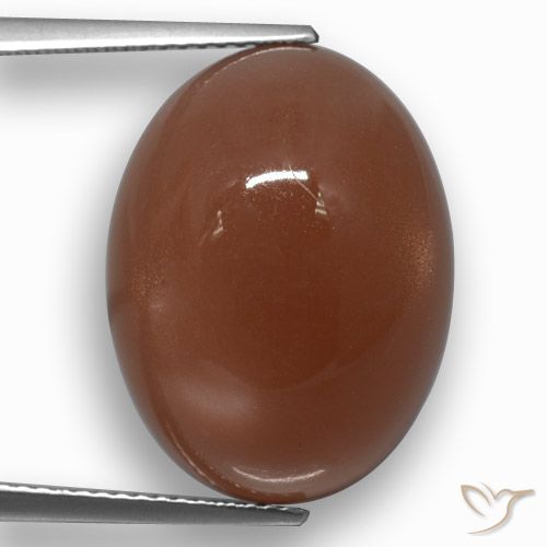 17.21ct Naturel Brun rougeâtre Pierre de lune, ovale, Translucide