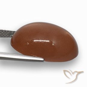 Pierre de lune Brun rougeâtre naturelle ovale, 17.21 ct, Translucide