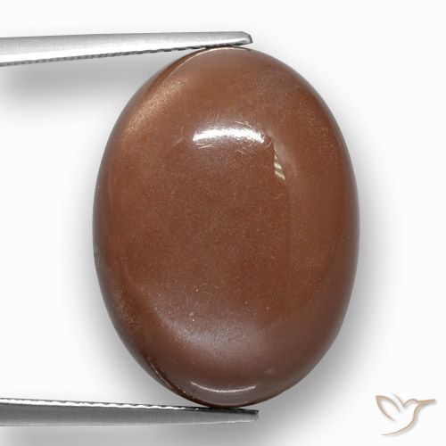 24.38ct Naturel Brun cannelle Pierre de lune, ovale, Opaque