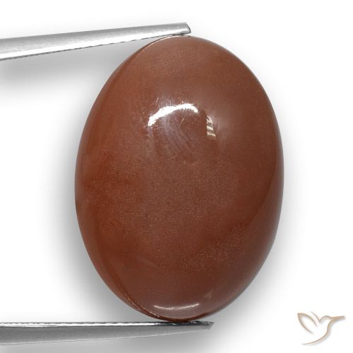 20.59ct Naturel Brun moyen Pierre de lune, ovale, Translucide