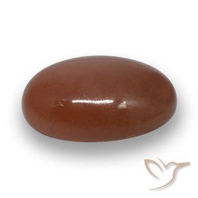 Pierre de lune Brun moyen naturelle ovale, 20.59 ct, Translucide