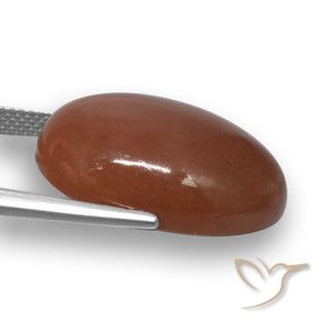 Pierre de lune Brun moyen naturelle ovale, 20.59 ct, Translucide