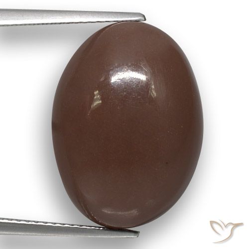 22.51ct Naturel Brun moyen Pierre de lune, ovale, Translucide