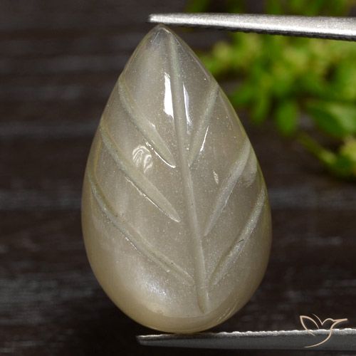 12.55ct Naturel Brun café léger Pierre de lune, Fantaisie, Translucide