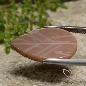 Pierre de lune Marron chaud naturelle Fantaisie, 15.59 ct, Translucide