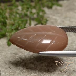 Pierre de lune Marron chaud naturelle Fantaisie, 15.59 ct, Translucide