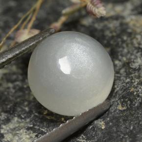 Pierre de lune blanc naturelle coupe roude, 2,73 ct, translucide