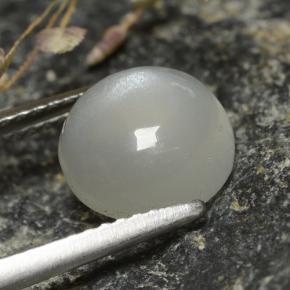 Pierre de lune blanc naturelle coupe roude, 2,73 ct, translucide