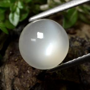 Pierre de Lune Blanc chaud naturelle Coupe roude, 2.39 ct, Translucide