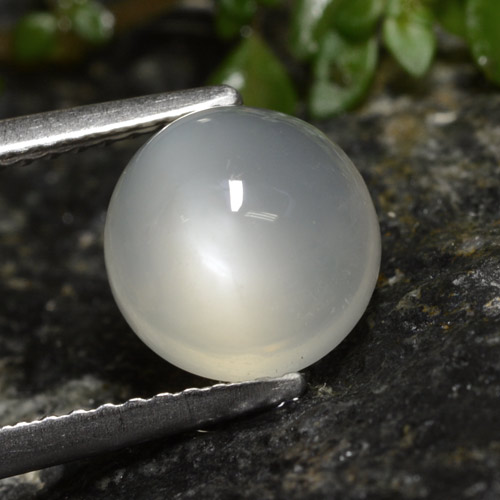 Pierre de lune blanc naturelle coupe roude, 2,60 ct, translucide