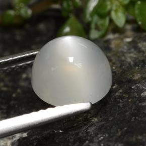 Pierre de lune blanc naturelle coupe roude, 2,60 ct, translucide