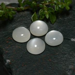 Achetez naturel 8,05ct blanc pierre de lune gems, coupe roude, en provenance inde chez gemselect. en stock, livraison internationale!