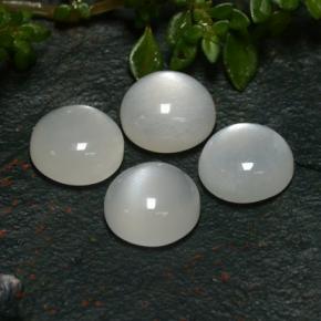Achetez naturel 8,05ct blanc pierre de lune gems, coupe roude, en provenance inde chez gemselect. en stock, livraison internationale!