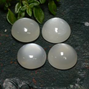 Achetez naturel 8,31ct blanc pierre de lune gems, coupe roude, en provenance inde chez gemselect. en stock, livraison internationale!