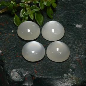 Achetez naturel 8,31ct blanc pierre de lune gems, coupe roude, en provenance inde chez gemselect. en stock, livraison internationale!