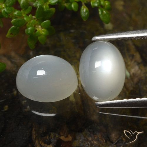 Achetez naturel 3.27ct Blanc chaud Pierre de Lune gems, Coupe ovale, En provenance Inde chez GemSelect. En stock, livraison internationale!
