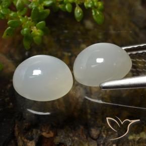 Achetez naturel 3.27ct Blanc chaud Pierre de Lune gems, Coupe ovale, En provenance Inde chez GemSelect. En stock, livraison internationale!