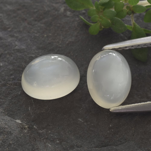 Achetez naturel 3,14ct blanc pierre de lune gems, coupe ovale, en provenance inde chez gemselect. en stock, livraison internationale!