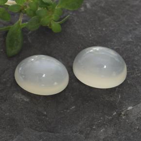 Achetez naturel 3,14ct blanc pierre de lune gems, coupe ovale, en provenance inde chez gemselect. en stock, livraison internationale!