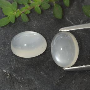 Achetez naturel 3,19ct blanc pierre de lune gems, coupe ovale, en provenance inde chez gemselect. en stock, livraison internationale!