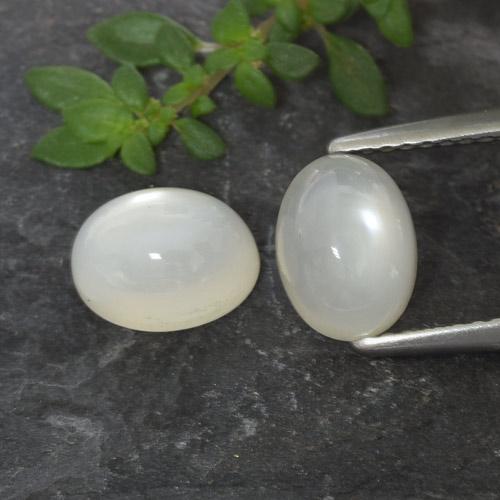 Achetez naturel 3,32ct blanc pierre de lune gems, coupe ovale, en provenance inde chez gemselect. en stock, livraison internationale!