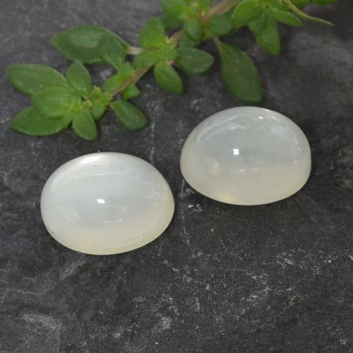 Achetez naturel 3,32ct blanc pierre de lune gems, coupe ovale, en provenance inde chez gemselect. en stock, livraison internationale!