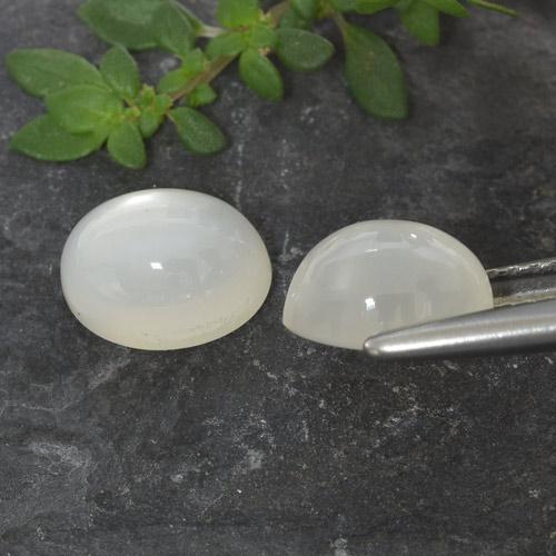 Achetez naturel 3,32ct blanc pierre de lune gems, coupe ovale, en provenance inde chez gemselect. en stock, livraison internationale!