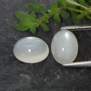 Achetez naturel 2,71ct blanc pierre de lune gems, coupe ovale, en provenance inde chez gemselect. en stock, livraison internationale!
