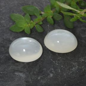 Achetez naturel 2,71ct blanc pierre de lune gems, coupe ovale, en provenance inde chez gemselect. en stock, livraison internationale!