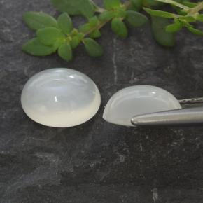 Achetez naturel 2,71ct blanc pierre de lune gems, coupe ovale, en provenance inde chez gemselect. en stock, livraison internationale!